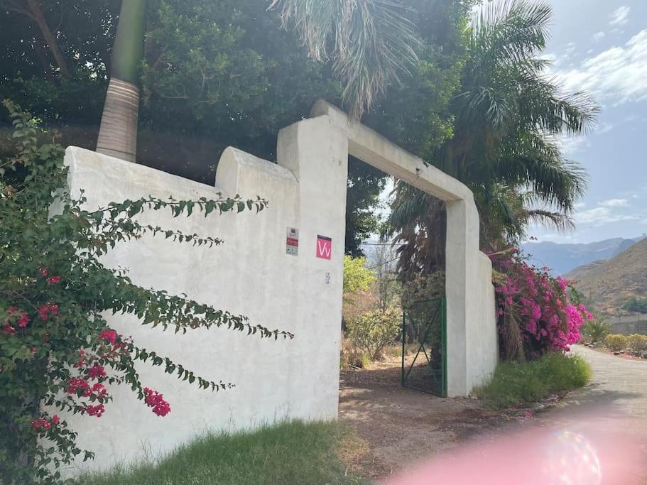 Villa La Casa Del Molino De Viento Agaete  Esterno foto