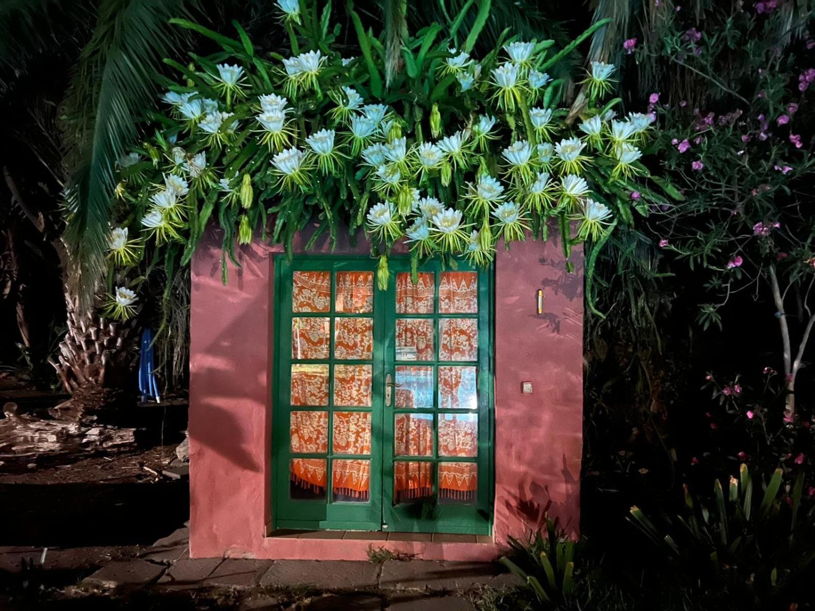 Villa La Casa Del Molino De Viento Agaete  Esterno foto