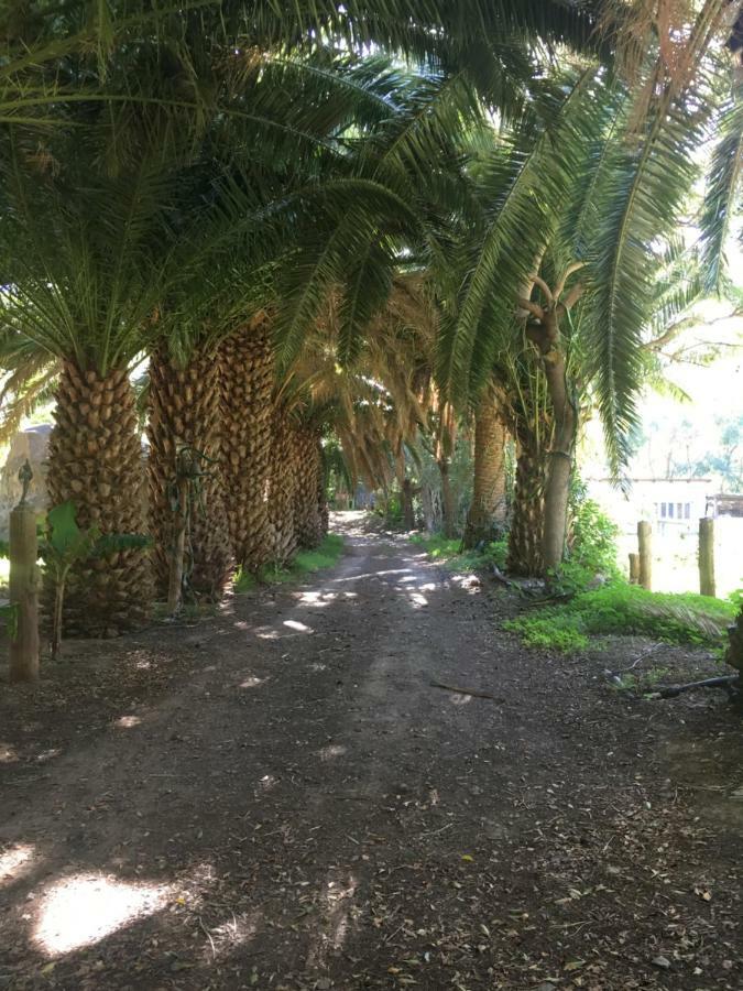 Villa La Casa Del Molino De Viento Agaete  Esterno foto