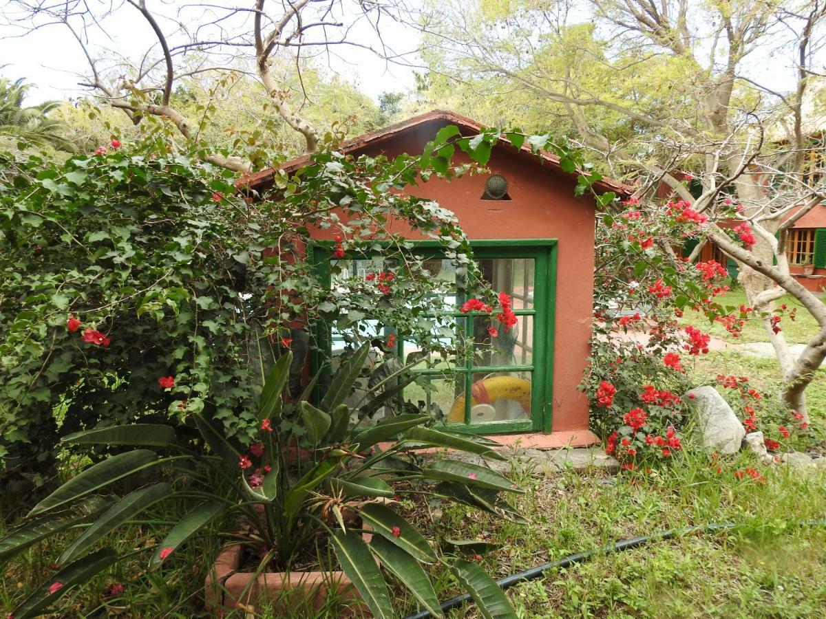 Villa La Casa Del Molino De Viento Agaete  Esterno foto